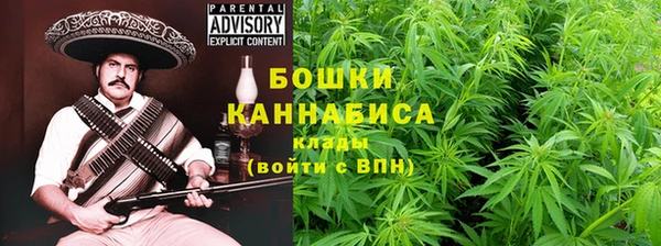 гидра Майский