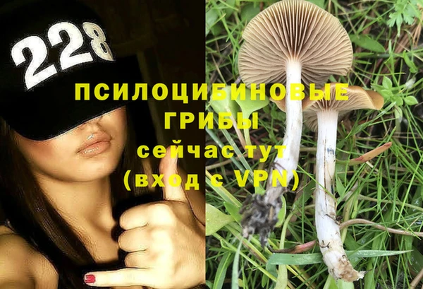 дживик Лиски