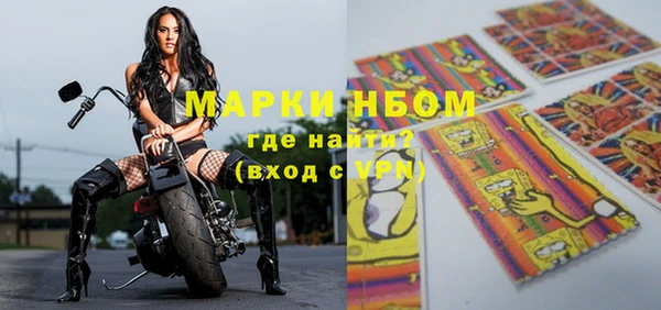 гидра Майский