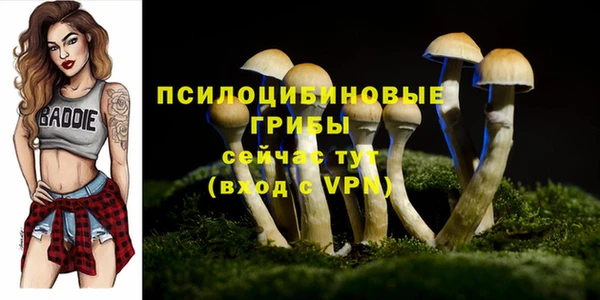 соль курить ск Магадан