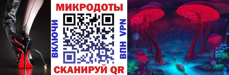 Галлюциногенные грибы GOLDEN TEACHER  Новокубанск 