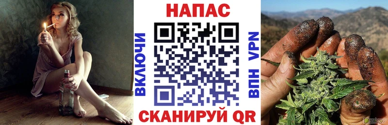 Конопля Ganja  Новокубанск 